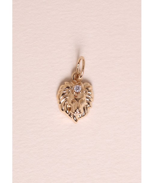 Pendentif Signe - Lion vous aussi creer 