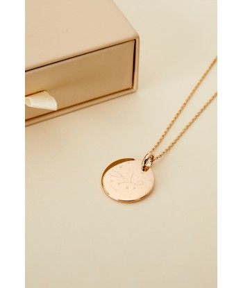 Collier constellation du Zodiaque ou a consommer sur place