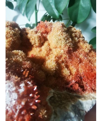 Aragonite rouge Economisez 