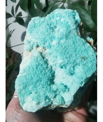 Aragonite bleue 50-70% off 