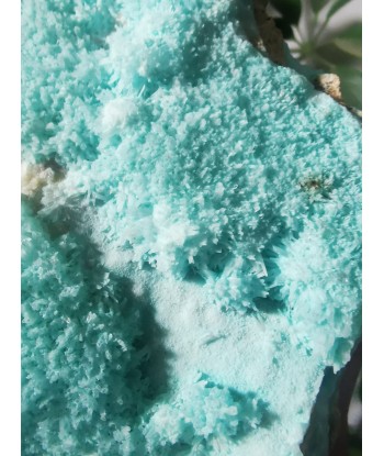 Aragonite bleue 50-70% off 