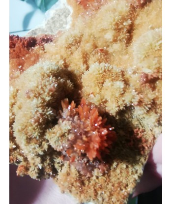 Aragonite rouge Economisez 