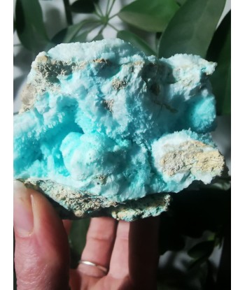 Aragonite bleue 50-70% off 