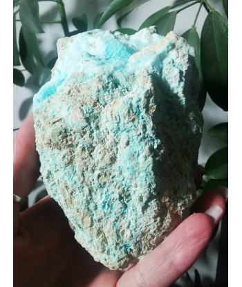 Aragonite bleue 50-70% off 