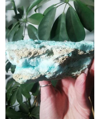 Aragonite bleue 50-70% off 