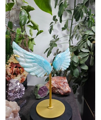 Ailes d'ange en Amazonite Livraison rapide