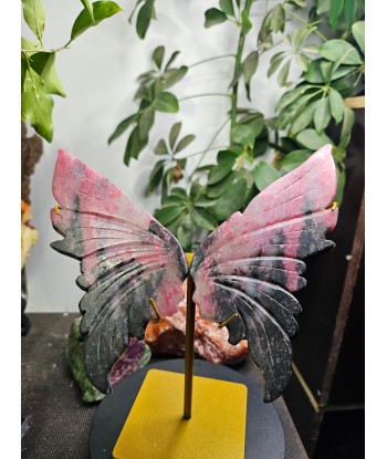 Ailes de papillon en Rhodonite est présent 