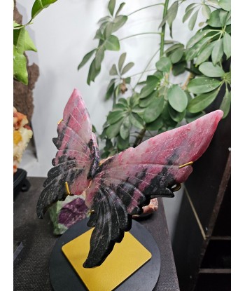 Ailes de papillon en Rhodonite est présent 