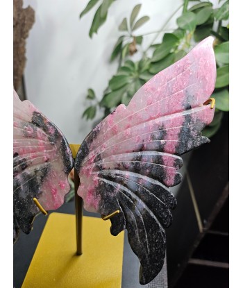 Ailes de papillon en Rhodonite est présent 