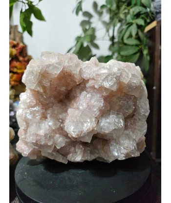 Calcite rose brute Economisez 