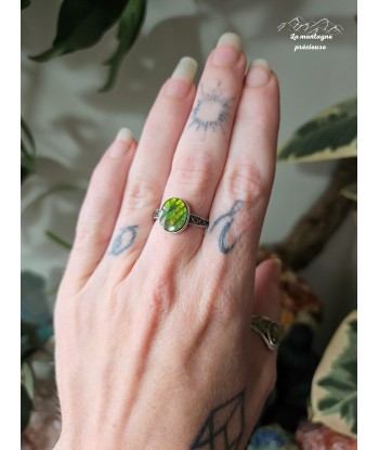 Bague en ammolite les muscles