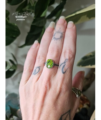 Bague en ammolite les muscles