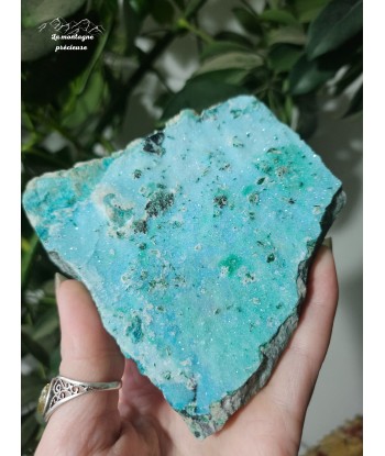 Chrysocolle brute français