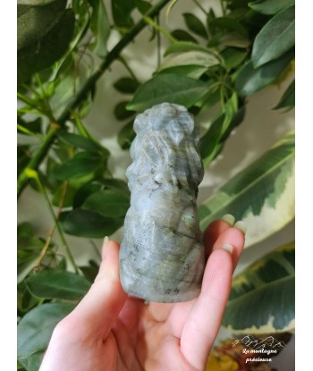 Lion en labradorite store