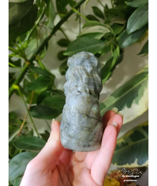 Lion en labradorite store