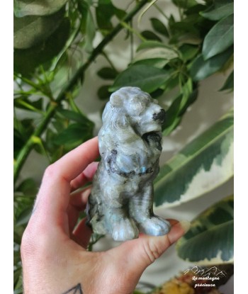 Lion en labradorite store