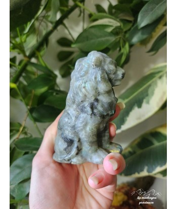 Lion en labradorite store